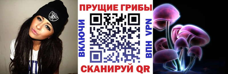 Галлюциногенные грибы Psilocybine cubensis  Купить закладки  Кирс 